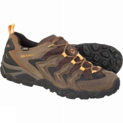 Merrell Mens Chameleon Shift Vent GTX Shoe Bitter Root